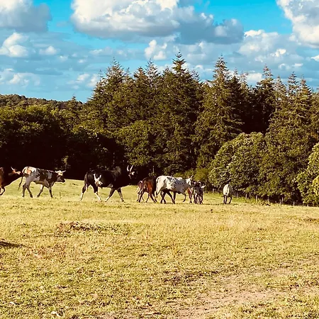 Escapade Dans Un Ranch